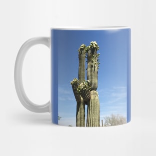 Cacti couple Mug